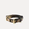 Collar de perro